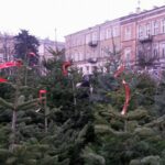 Kielce. Stoisko z choinkami na placu Wolności / Katarzyna Prędotka / Radio Kielce