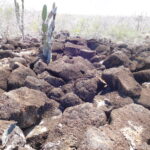 Muzyczne Podróże przez Świat. Wyspy Galapagos / Barbara Libiszowska-Pawlak