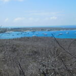 Muzyczne Podróże przez Świat. Wyspy Galapagos / Barbara Libiszowska-Pawlak