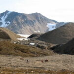 Spitsbergen / dr hab. Małgorzata Anna Jóźwiak i prof. dr hab. Marek Jóźwiak / Radio Kielce