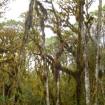 Muzyczne Podróże przez Świat. Wyspy Galapagos / Barbara Libiszowska-Pawlak