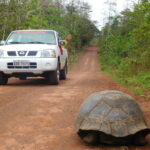 Muzyczne Podróże przez Świat. Wyspy Galapagos / Barbara Libiszowska-Pawlak