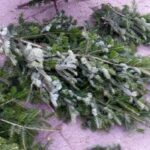 Kielce. Stoisko z choinkami na placu Wolności. Wiązanki – niezależnie od wielkości 5 zł / Katarzyna Prędotka / Radio Kielce