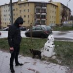 Starachowice. Kosze na psie odchody w kształcie Dalmatyńczyków / Tomasz Piwko / Radio Kielce