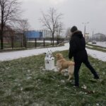 Starachowice. Kosze na psie odchody w kształcie Dalmatyńczyków / Tomasz Piwko / Radio Kielce