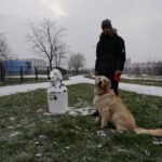 Starachowice. Kosze na psie odchody w kształcie Dalmatyńczyków / Tomasz Piwko / Radio Kielce