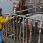 Żywa szopka w Suchedniowie / Tomasz Piwko / Radio Kielce