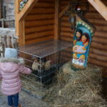 Żywa szopka w Suchedniowie / Tomasz Piwko / Radio Kielce