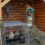 Żywa szopka w Suchedniowie / Tomasz Piwko / Radio Kielce