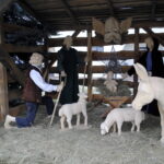 Staszów. Wspólne ubieranie choinki / Grażyna Szlęzak - Wójcik / Radio Kielce