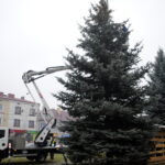 Staszów. Wspólne ubieranie choinki / Grażyna Szlęzak - Wójcik / Radio Kielce