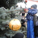 Staszów. Wspólne ubieranie choinki / Grażyna Szlęzak - Wójcik / Radio Kielce