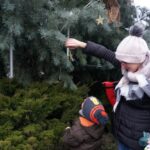 Sędziszów. Mikołajkowo - świąteczny czas / Ewa Pociejowska - Gawęda / Radio Kielce