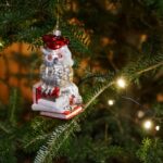 Kielce. "Choinka pod choinkę" w Radiu Kielce. Licytacja drzewka Radia Kielce / Karol Żak / Radio Kielce