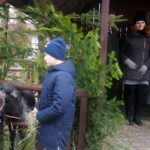 Żywa szopka w Skalbmierzu / Parafii św. Jana Chrzciciela w Skalbmierzu