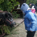 Żywa szopka w Skalbmierzu / Kamil Włosowicz / Radio Kielce