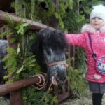 Żywa szopka w Skalbmierzu / Kamil Włosowicz / Radio Kielce