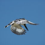 Etiopia / Piotr Olszewski