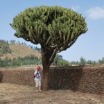 Etiopia / Piotr Olszewski