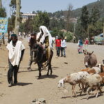 Etiopia / Piotr Olszewski