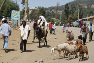 Etiopia / Piotr Olszewski