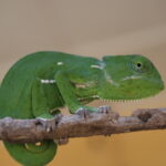 Etiopia / Piotr Olszewski