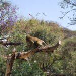 Etiopia / Piotr Olszewski