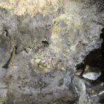 11.07.2016 Wakacje z duchami historii. Wiślica / Robert Felczak / Radio Kielce