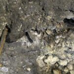 11.07.2016 Wakacje z duchami historii. Wiślica / Robert Felczak / Radio Kielce