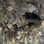 11.07.2016 Wakacje z duchami historii. Wiślica / Robert Felczak / Radio Kielce