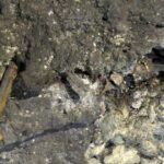 11.07.2016 Wakacje z duchami historii. Wiślica / Robert Felczak / Radio Kielce