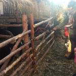 Żywa szopka przy Sanktuarium Maryjnym / Grażyna Szlęzak-Wójcik / Radio Kielce