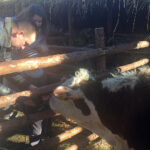 Żywa szopka przy Sanktuarium Maryjnym / Grażyna Szlęzak-Wójcik / Radio Kielce