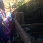 Żywa szopka przy Sanktuarium Maryjnym / Grażyna Szlęzak-Wójcik / Radio Kielce