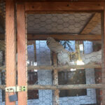 Żywa szopka przy Sanktuarium Maryjnym / Grażyna Szlęzak-Wójcik / Radio Kielce