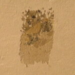 09.12.2017 Święty Krzyż. Klasztor. Odkryte fragmenty fresków refektarzu i przylegającej do niego sali / Jarosław Kubalski / Radio Kielce