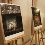 01.12.2017 Kielce. KCK. Finał konkursu fotograficznego "Życie jest piękne" / Jarosław Kubalski / Radio Kielce