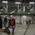 09.12.2017 Kielce. Targi  Kielce. Wystawa królików, gołębi i drobiu ozdobnego / Jarosław Kubalski / Radio Kielce