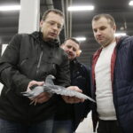 09.12.2017 Kielce. Targi  Kielce. Wystawa królików, gołębi i drobiu ozdobnego / Jarosław Kubalski / Radio Kielce