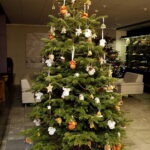 11.12.2017 Kielce. „Choinka pod choinkę”. Drzewko przekazane na aukcję przez biskupa diecezji radomskiej Henryka Tomasika / Jarosław Kubalski / Radio Kielce