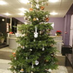 11.12.2017 Kielce. „Choinka pod choinkę”. Drzewko przekazane na aukcję przez biskupa diecezji radomskiej Henryka Tomasika / Jarosław Kubalski / Radio Kielce