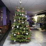 10.12.2017 Kielce. „Choinka pod choinkę”. Drzewko przekazane na aukcję przez biskupa Jana Piotrowskiego / Jarosław Kubalski / Radio Kielce