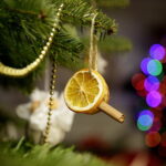 10.12.2017 Kielce. „Choinka pod choinkę”. Drzewko przekazane na aukcję przez biskupa Jana Piotrowskiego / Jarosław Kubalski / Radio Kielce