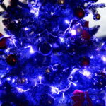 06.12.2017 Suchedniów. "Choinka pod Choinkę" . Młodzież z Katolickiego Stowarzyszenia Młodzieży w Suchedniowie i ksiądz Grzegorz Łabądź ubierają choinkę przekazaną przez biskupa diecezji radomskiej Henryka Tomasika na rzecz licytacji / Krzysztof Bujnowicz / Radio Kielce