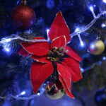 11.12.2017 Kielce. „Choinka pod choinkę”. Drzewko przekazane na aukcję przez biskupa diecezji radomskiej Henryka Tomasika / Jarosław Kubalski / Radio Kielce