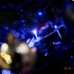 11.12.2017 Kielce. „Choinka pod choinkę”. Drzewko przekazane na aukcję przez biskupa diecezji radomskiej Henryka Tomasika / Jarosław Kubalski / Radio Kielce