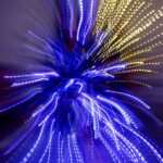 11.12.2017 Kielce. „Choinka pod choinkę”. Drzewko przekazane na aukcję przez biskupa diecezji radomskiej Henryka Tomasika / Jarosław Kubalski / Radio Kielce