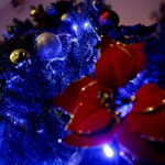 11.12.2017 Kielce. „Choinka pod choinkę”. Drzewko przekazane na aukcję przez biskupa diecezji radomskiej Henryka Tomasika / Jarosław Kubalski / Radio Kielce