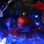 11.12.2017 Kielce. „Choinka pod choinkę”. Drzewko przekazane na aukcję przez biskupa diecezji radomskiej Henryka Tomasika / Jarosław Kubalski / Radio Kielce