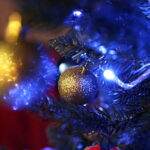 11.12.2017 Kielce. „Choinka pod choinkę”. Drzewko przekazane na aukcję przez biskupa diecezji radomskiej Henryka Tomasika / Jarosław Kubalski / Radio Kielce